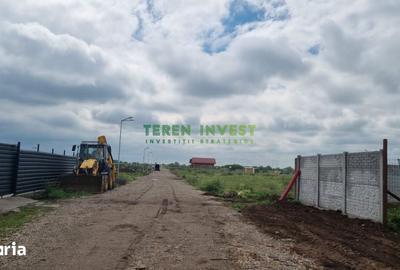 Teren de 460 mp, în Frumușani - 13