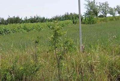 Teren de 5000 mp, în Copălău - 3