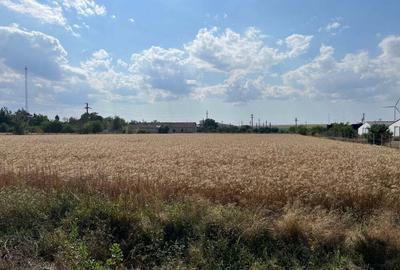 Teren de 13358 mp, în Nicolae Bălcescu - 1