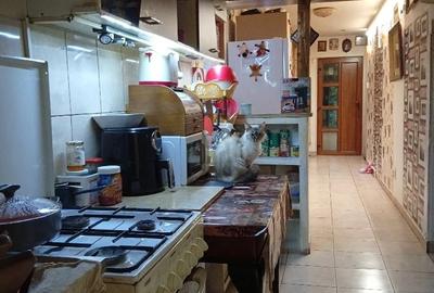 Casă cu 3 camere cu Teren 200 Mp în Copou