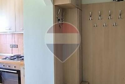 Apartament cu 2 camere nedecomandat, mobilat în Gheorgheni - 9