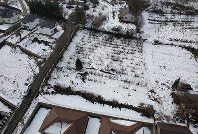 Teren Construcții intravilan de 3000 mp, în Nord-Vest - 6