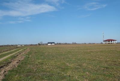 Teren Construcții intravilan de 1075 mp, în Găneasa - 4
