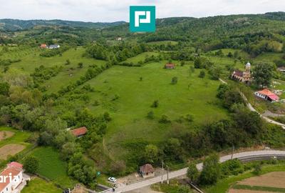 Casă cu 2 camere cu Teren 24494 Mp în Traian Vuia - 2