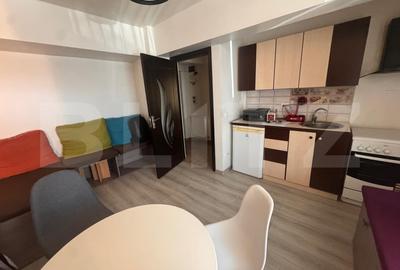 Apartament cu 2 camere decomandat, mobilat în Păcurari - 2