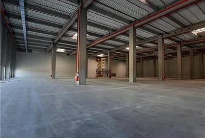 Spațiu industrial, de 2,300 mp, în Ștefăneștii de Jos - 19