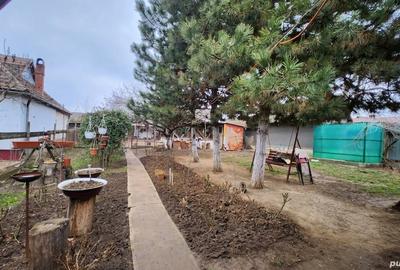 Casă cu 3 camere cu Teren 2081 Mp în Săcueni - 5