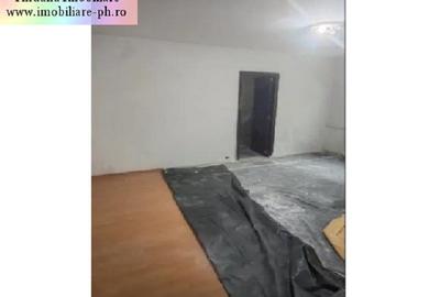 Apartament cu 2 camere nedecomandat în Malu Roșu - 5