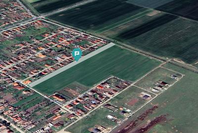 Teren agricol intravilan de 7317 mp, în Zimandu Nou - 1
