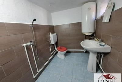Casă individuală cu 4 camere cu Teren 46774 Mp în Valea Vințului - 8