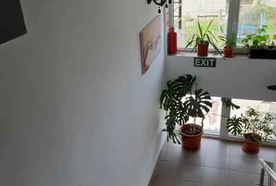 Casă individuală cu 16 camere cu Canalizare în Est - 4