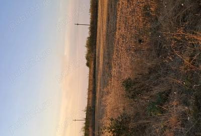 Teren de 8000 mp, în Brăniștari - 2