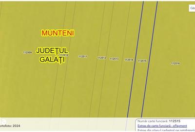 Teren de 10098 mp, în Munteni - 3