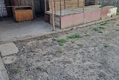 Casă cu 2 camere cu Teren 415 Mp în Oncea - 3