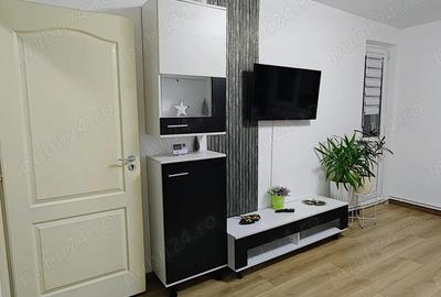 Apartament cu 2 camere decomandat, mobilat în Viitorului - 7
