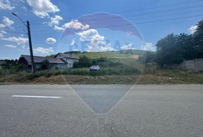 Teren Construcții intravilan de 3700 mp, în Coțofenii din Dos - 1