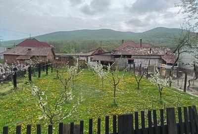 Casă cu 3 camere cu Teren 1760 Mp în Meteș - 2
