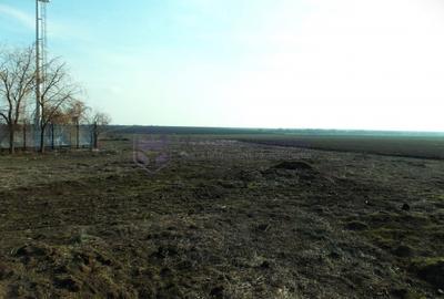 Teren Construcții intravilan de 674 mp, în Ovidiu - 4