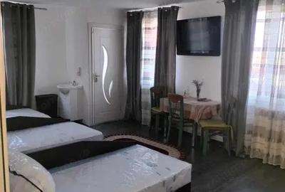 Casă cu Teren 1900 Mp în Glina - 3