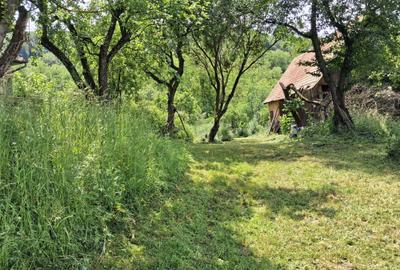 Casă cu 3 camere în Delenii - 12
