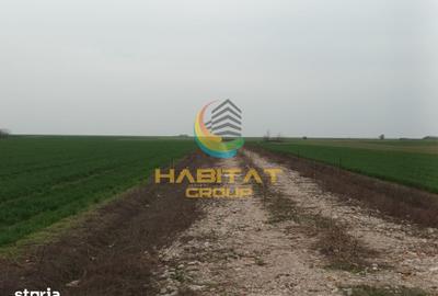 Teren de 315 mp, în Berceni