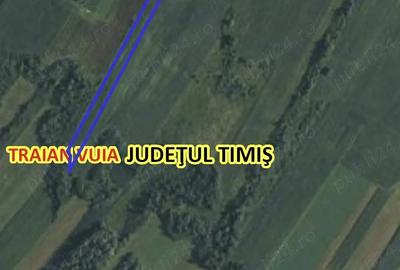 Teren de 23200 mp, în Traian Vuia - 2