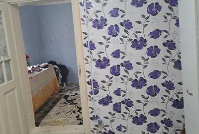 Casă cu 3 camere cu Teren 14000 Mp în Izvoru (Gogoșari) - 4