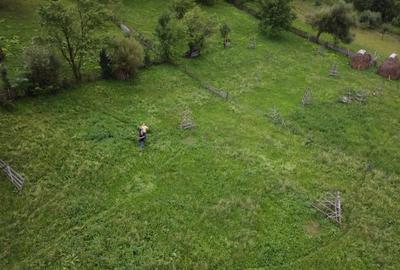 Teren Construcții intravilan de 17000 mp, în Valea Doftanei - 15