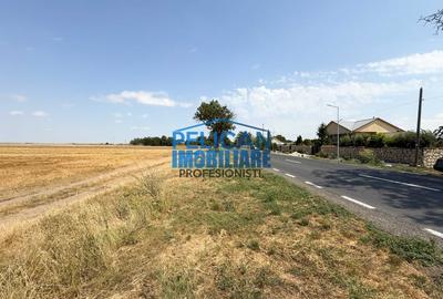 Teren Construcții intravilan de 4000 mp, în Mihail Kogălniceanu