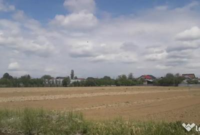 Teren de 11418 mp, în Mărăcineni - 2