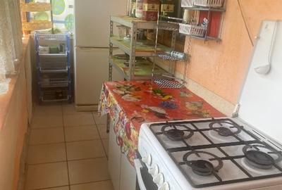 Casă individuală cu 2 camere cu Teren 100 Mp în Negreni - 3
