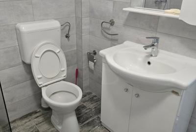 Duplex cu 5 camere cu Teren 142 Mp în Grivița - 12