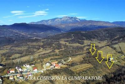 Teren Construcții intravilan de 8630 mp, în Est - 1