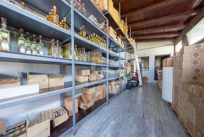 Spațiu comercial, de 350 mp, în Sud-Vest - 12