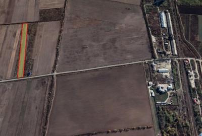 Teren agricol extravilan de 10000 mp, în Ciocănești