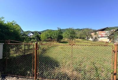 Teren de 1800 mp, în Tăuții de Sus