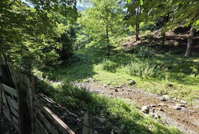 Teren de 3386 mp, în Borca