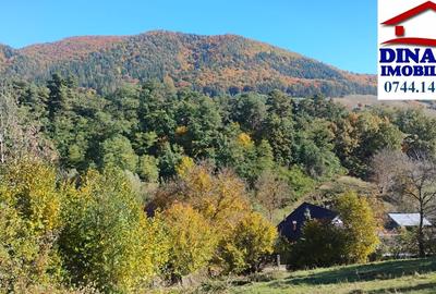 Teren intravilan de 3600 mp, în Bistrița