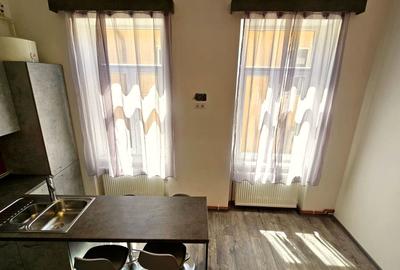 Apartament cu 2 camere semidecomandat, mobilat în Central - 15
