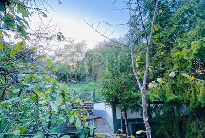 Casă individuală cu 13 camere cu Canalizare în Gruia - 12