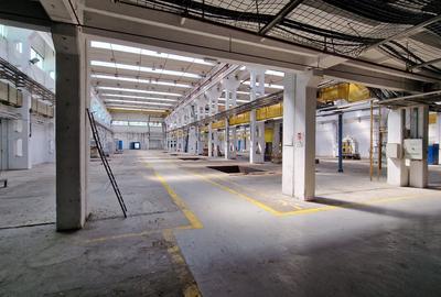 Spațiu industrial, de 8,000 mp, în Buziașului - 5