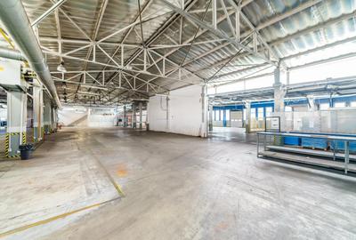 Spațiu comercial, de 6,000 mp, în Central - 6
