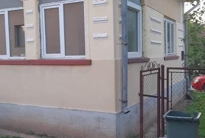 Casă cu 2 camere cu Teren 1567 Mp în Băița - 8