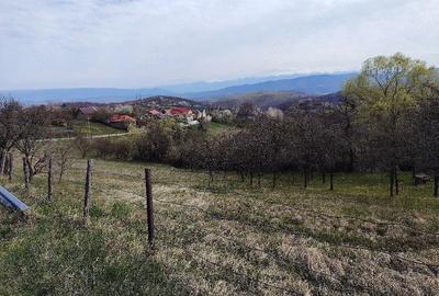 Teren de 2700 mp, în Ghelari - 7