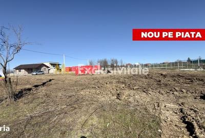 Spațiu comercial, în Albota