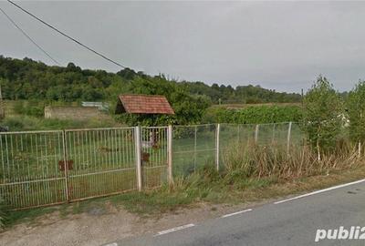 Teren de 5000 mp, în Batoți - 2
