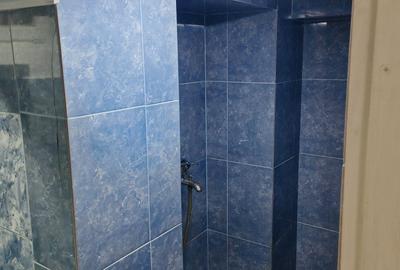 Apartament nedecomandat în Ultracentral