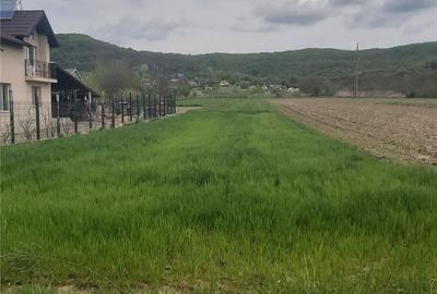 Teren de 2450 mp, în Băiculești - 1