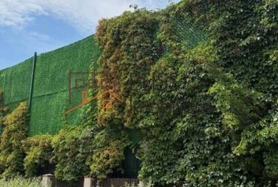 Casă cu 5 camere cu Teren 500 Mp în Pipera - 20