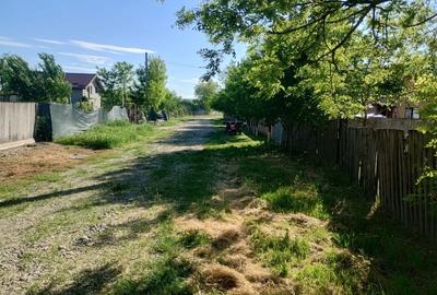 Casă cu 3 camere în Prisăcani